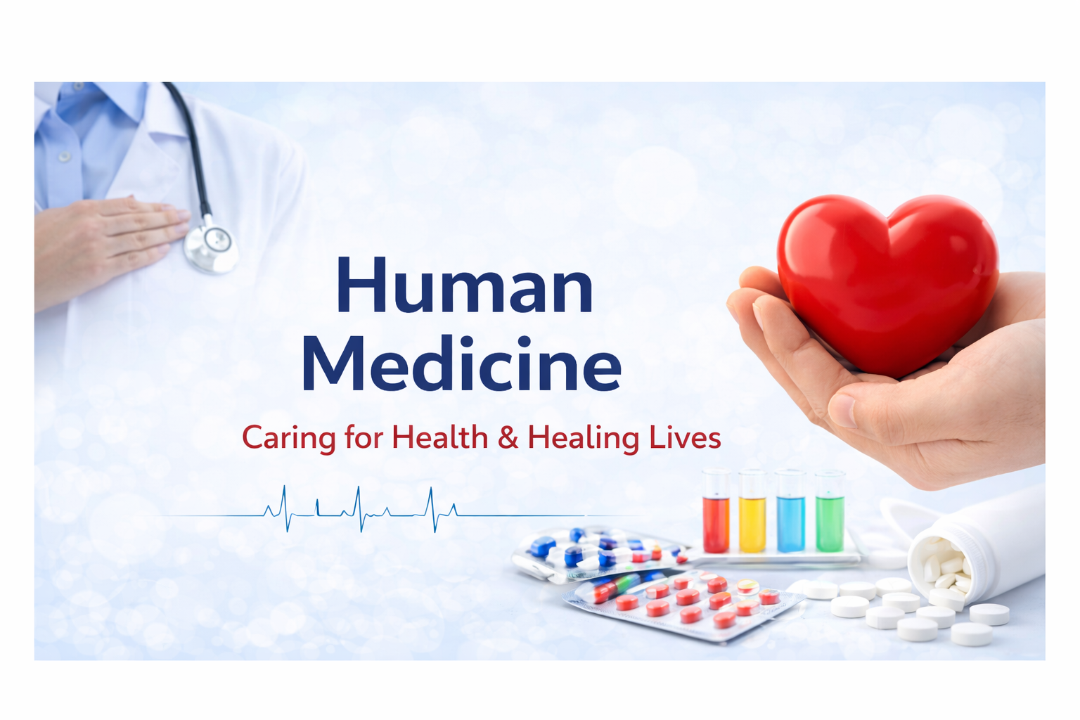 Human Medicine