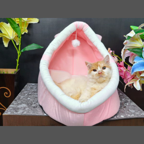 Pet House Small
