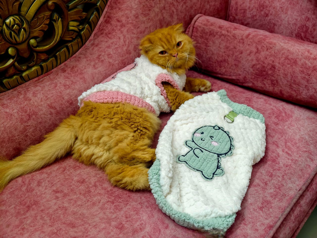 Snuggle Dino Winter Furry Dress — For Cats