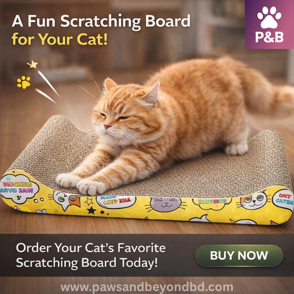 Cat Scratcher Board Sofa Shape