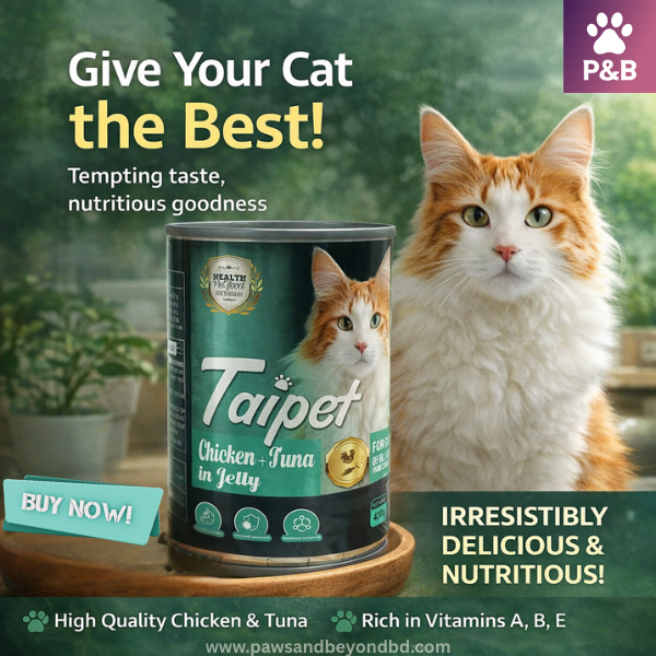 Taipet Chicken + Tuna in Jelly